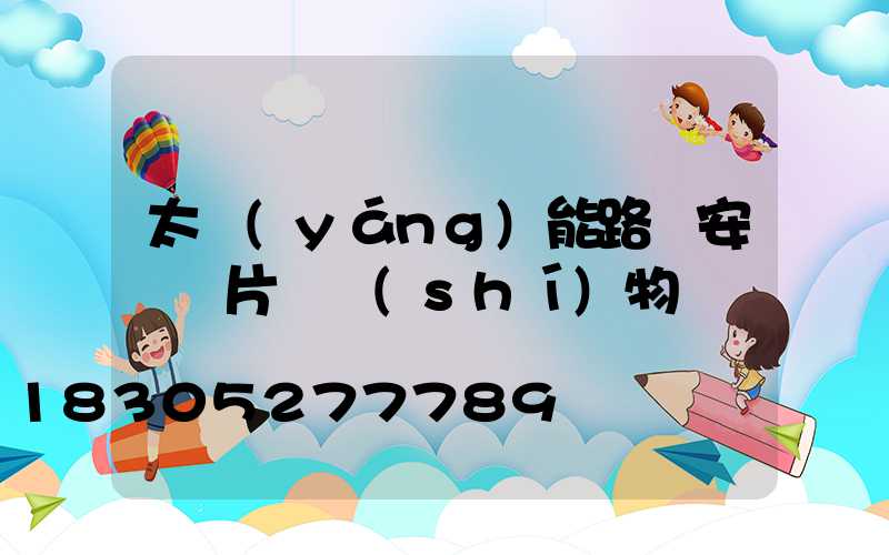 太陽(yáng)能路燈安裝圖片 實(shí)物